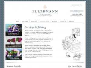 A preview of the website.